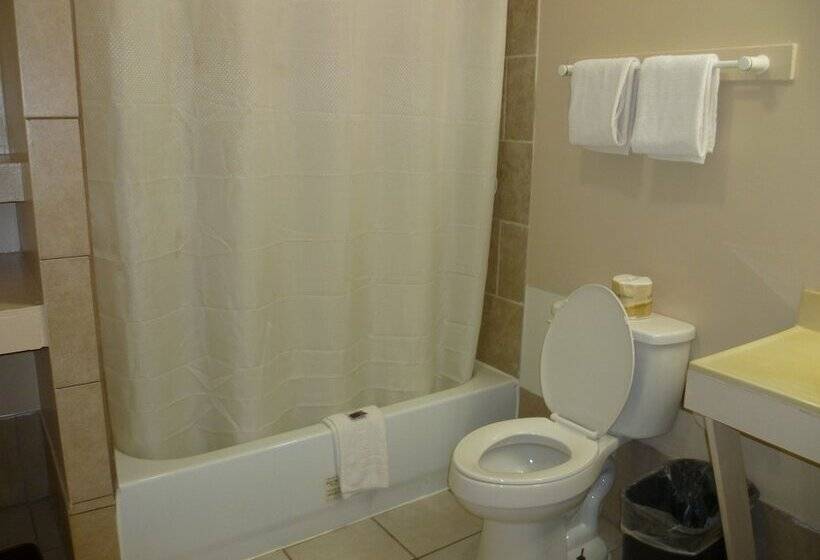 غرفه قياسيه سريرين مزدوجين, La Motel