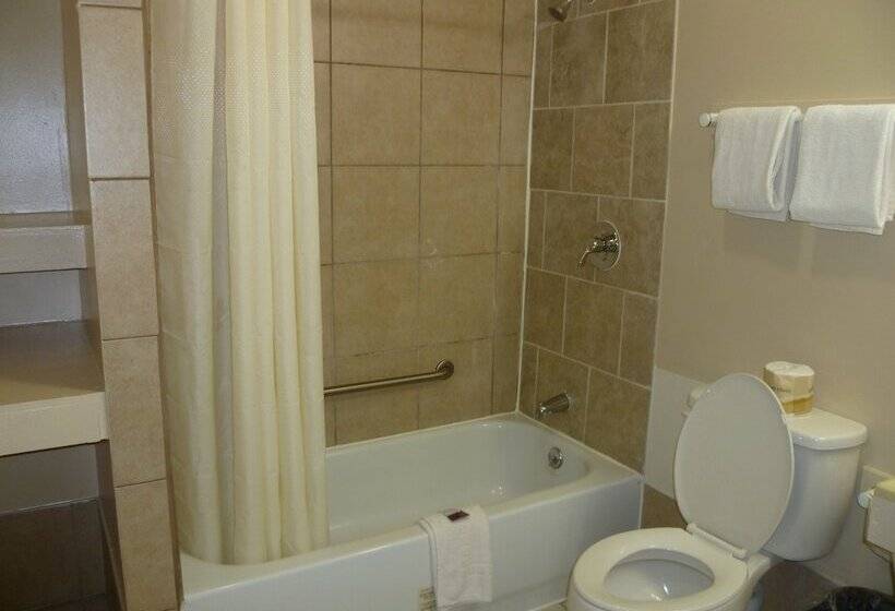 غرفه قياسيه سريرين مزدوجين, La Motel