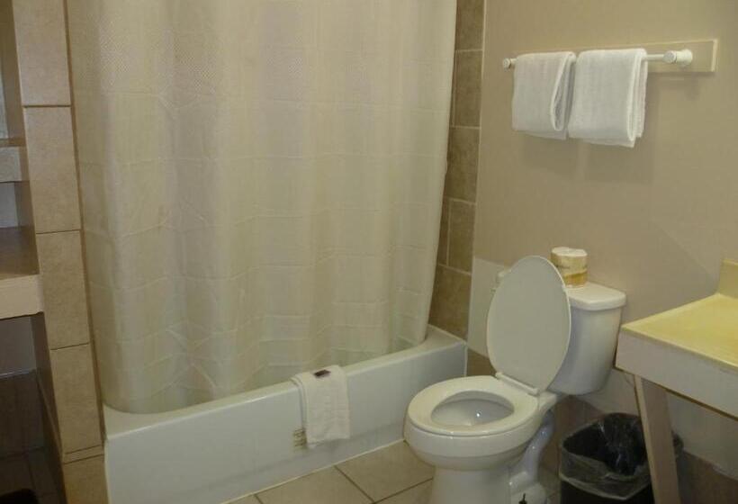 غرفه قياسيه سريرين مزدوجين, La Motel