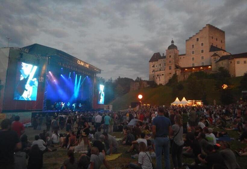 غرفة قياسية مزوَّدة بشُرفة, Gasthof Zur Donaubrücke
