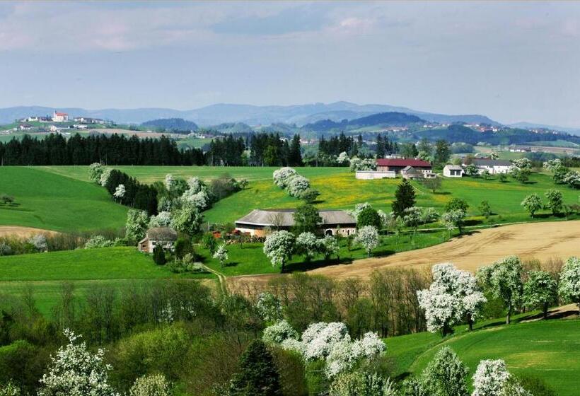 غرفة أساسية, Gasthof Zur Donaubrücke