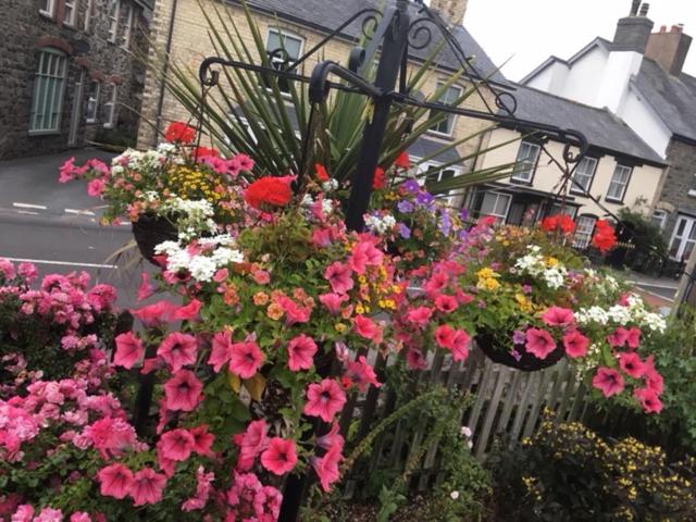 غرفة قياسية فردية, The Penrhos Arms