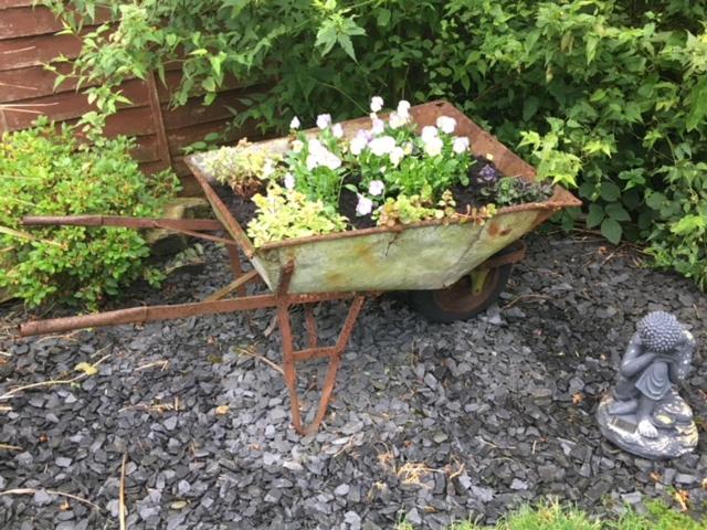 غرفة قياسية فردية, The Penrhos Arms