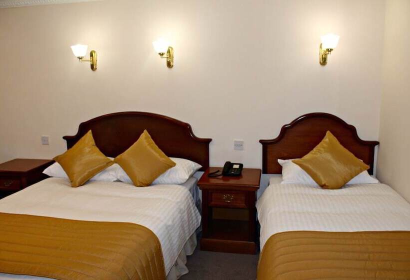 غرفة قياسية, Central Hotel Donegal