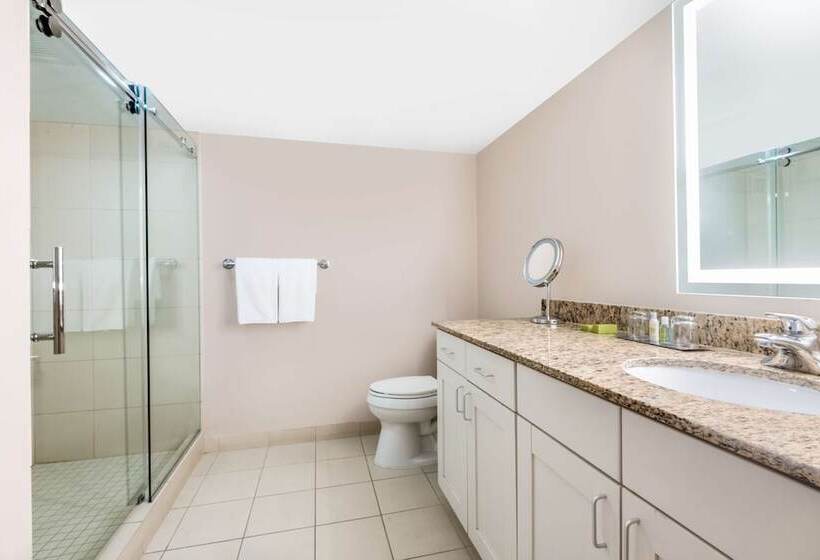 استودیوی استاندارد با تخت دوبل, Doubletree By Hilton Denver Cherry Creek