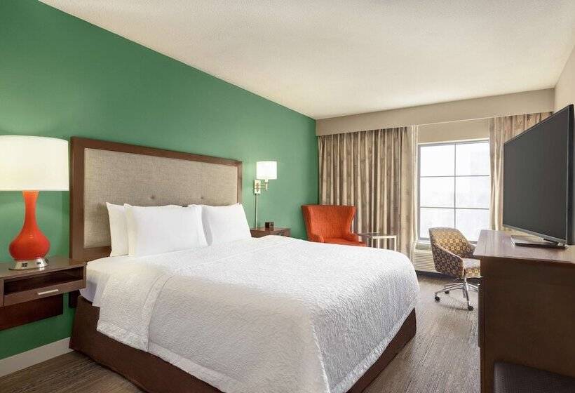 اتاق استاندارد با تخت بزرگ, Hampton Inn & Suites New Orleansconvention Center