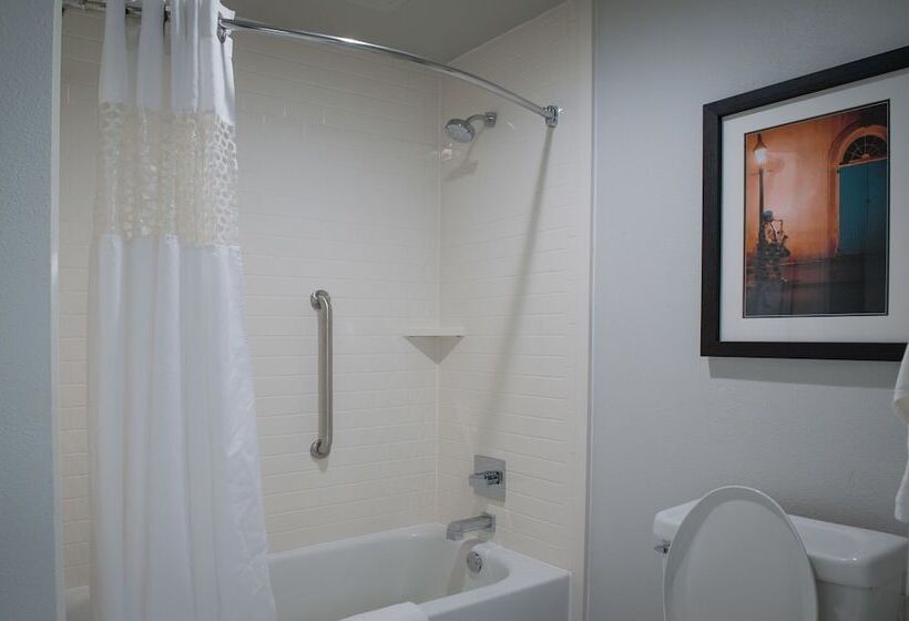 استودیو استاندارد با تخت کینگ, Hampton Inn & Suites New Orleansconvention Center