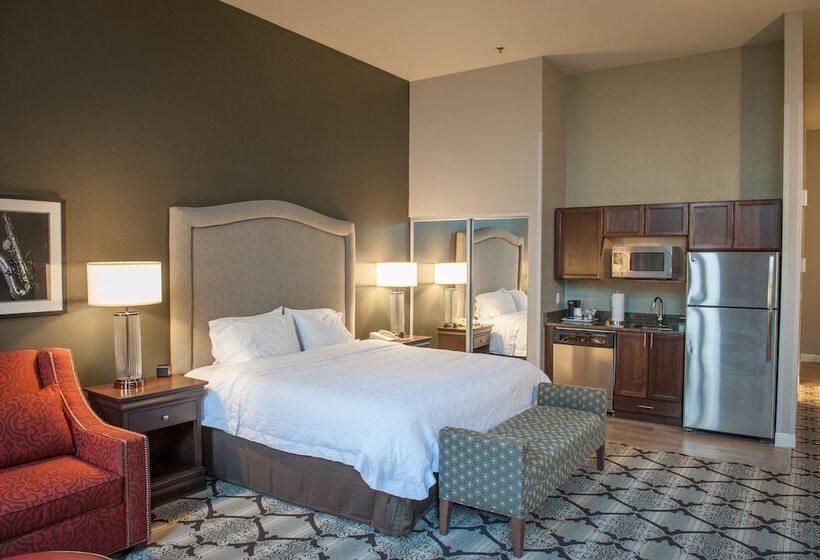 استودیو استاندارد با تخت کینگ, Hampton Inn & Suites New Orleansconvention Center