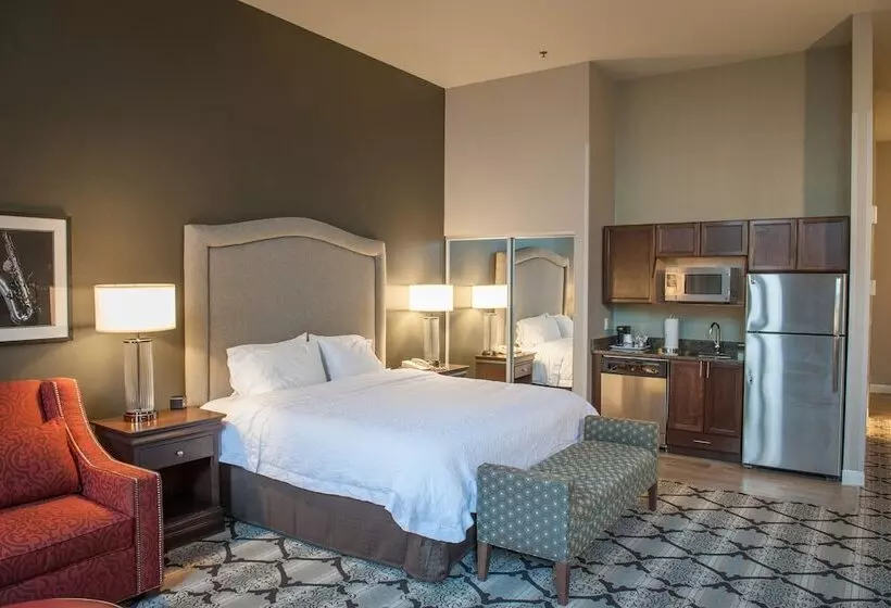 استودیو استاندارد با تخت کینگ, Hampton Inn & Suites New Orleansconvention Center