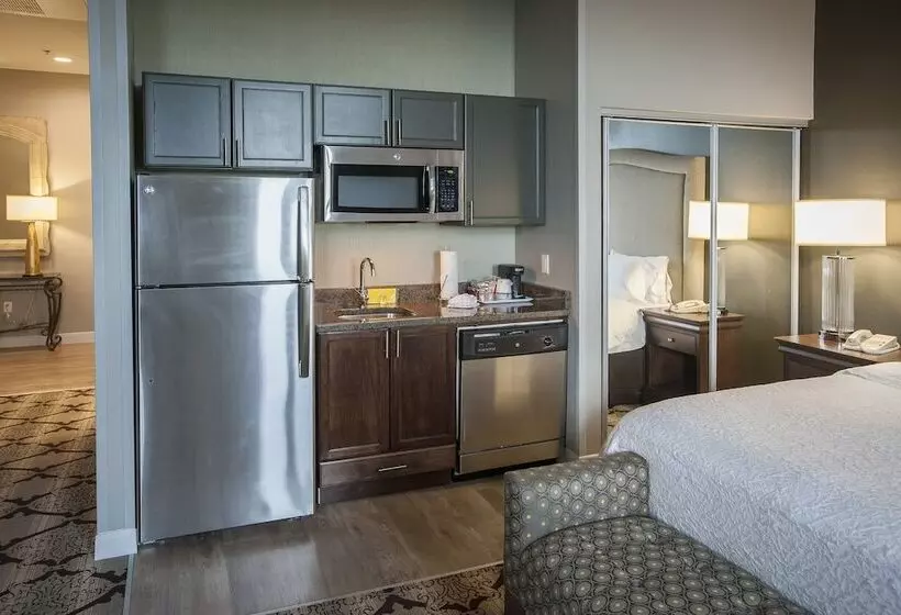 استودیو استاندارد با تخت کینگ, Hampton Inn & Suites New Orleansconvention Center