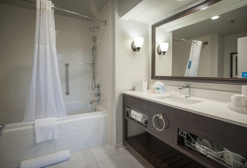 استودیو استاندارد با تخت کینگ, Hampton Inn & Suites New Orleansconvention Center