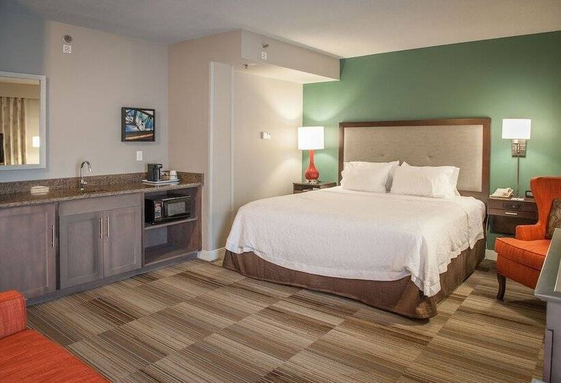 اتاق استاندارد با تخت بزرگ, Hampton Inn & Suites New Orleansconvention Center