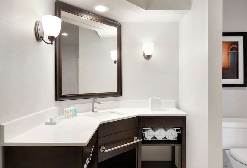 سوئیت با تخت بزرگ, Hampton Inn & Suites New Orleansconvention Center