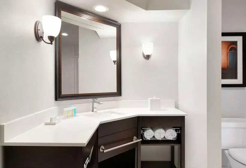 سوئیت با تخت بزرگ, Hampton Inn & Suites New Orleansconvention Center