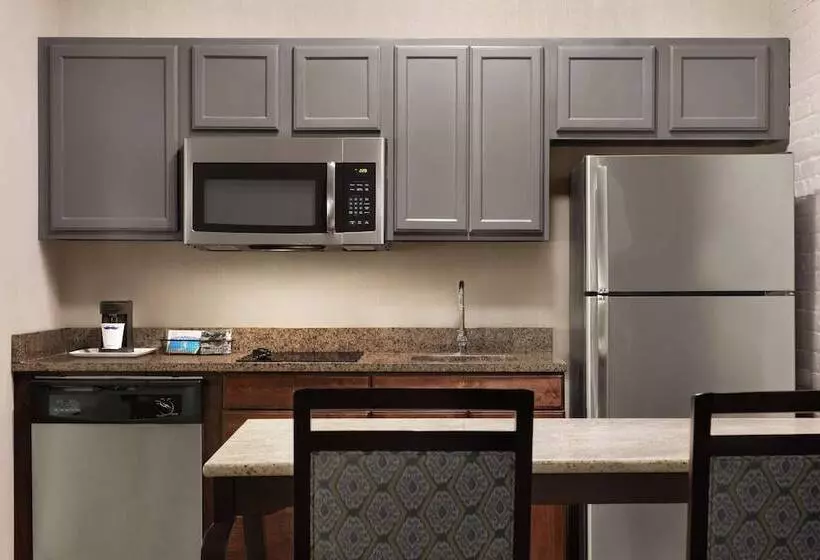 سوئیت با تخت بزرگ, Hampton Inn & Suites New Orleansconvention Center