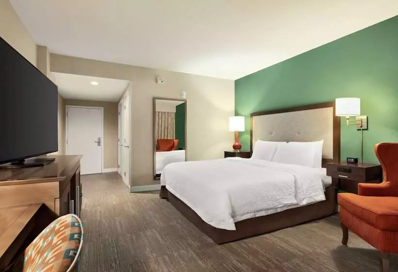 اتاق استاندارد با تخت بزرگ برای معلولان, Hampton Inn & Suites New Orleansconvention Center