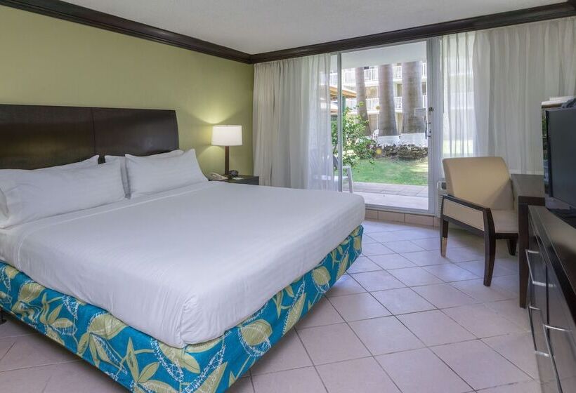اتاق استاندارد, Catalonia Montego Bay All Inclusive