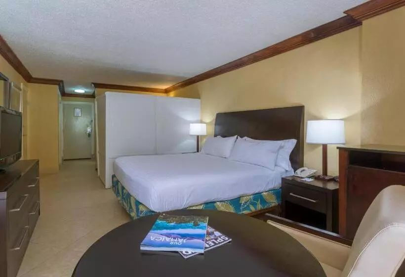 اتاق استاندارد با تخت بزرگ, Catalonia Montego Bay All Inclusive