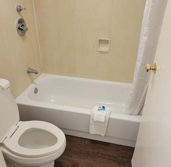 스탠다드 룸 킹사이즈 침대, Rodeway Inn