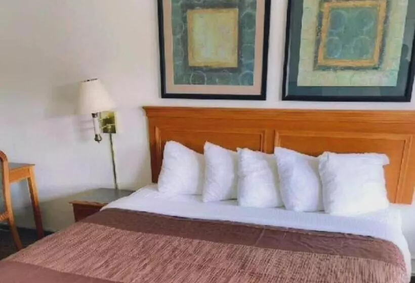 キングサイズベッドのスタンダードルーム, Rodeway Inn