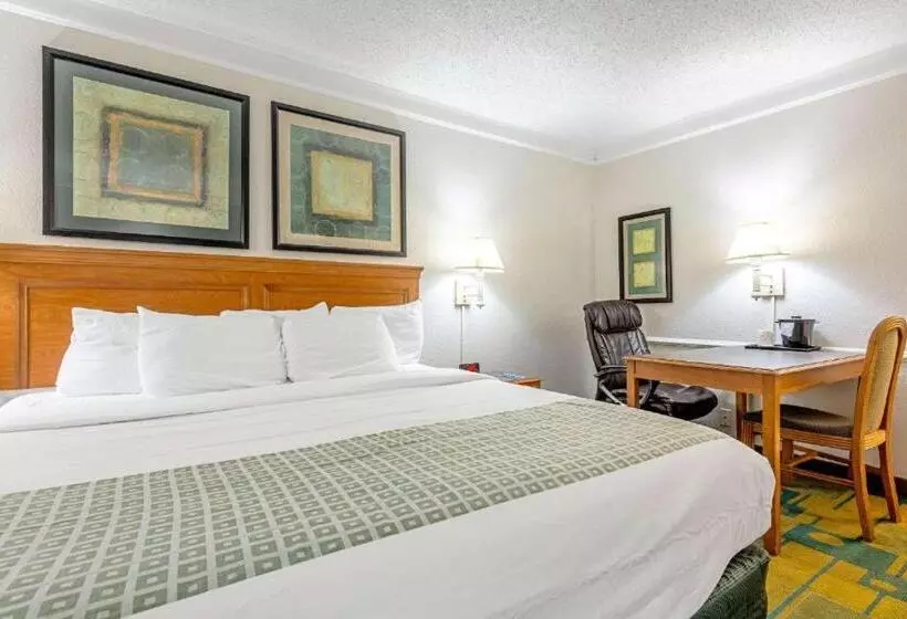 身障者適用キングサイズベッドルーム, Rodeway Inn