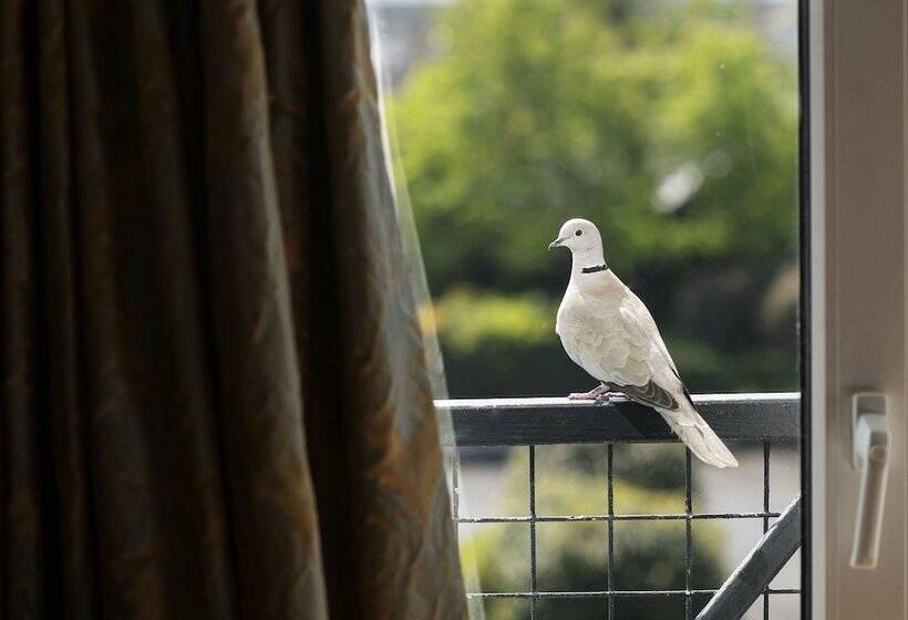Номер Стандарт Индивидуальный, Hylands Burren