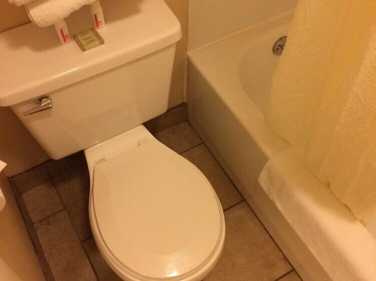 스탠다드 룸, Super 8 By Wyndham Idaho Falls