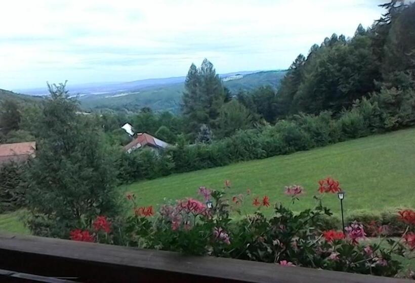 带阳台的标准单人间, Gasthof Diewald