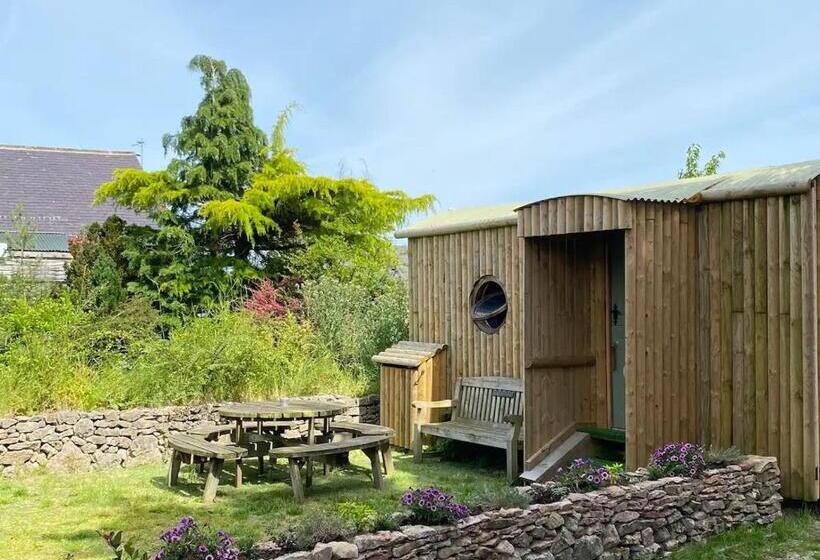 스탠다드 룸, Strickland Arms