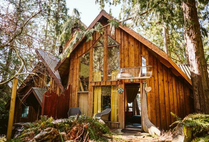 Люкс, Serenity By The Sea Retreats