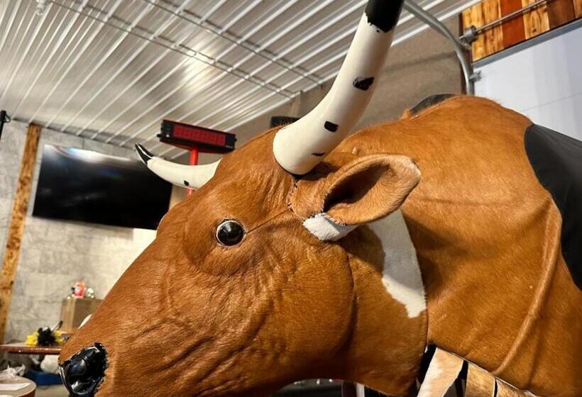 スタンダードスタジオ, Best Bear Lodge