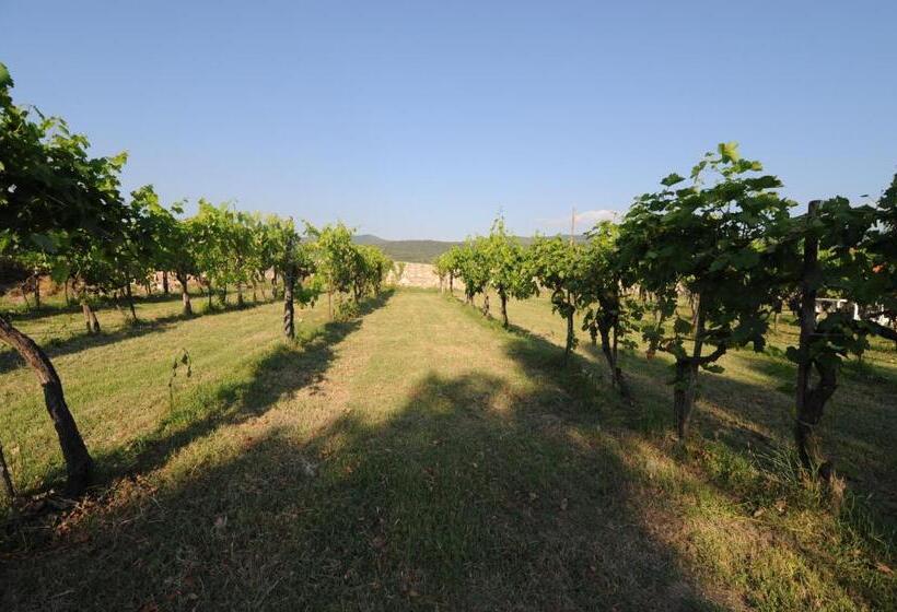 דירת חדר, Agriturismo Scorgiano