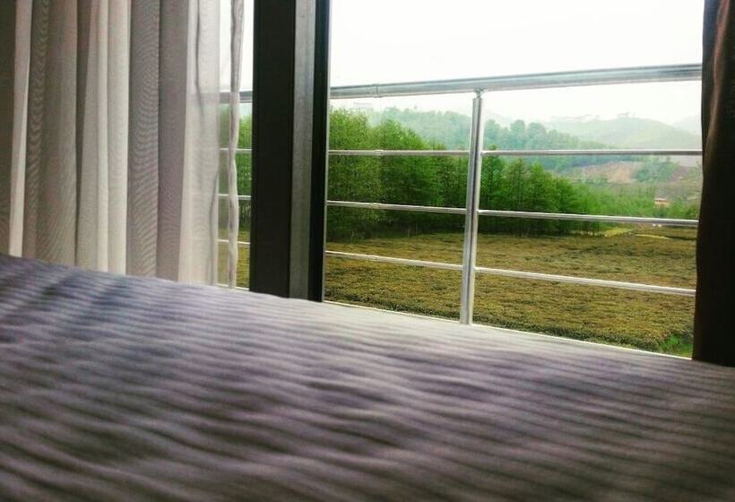 חדר סופריור לשלושה, Mori Sport