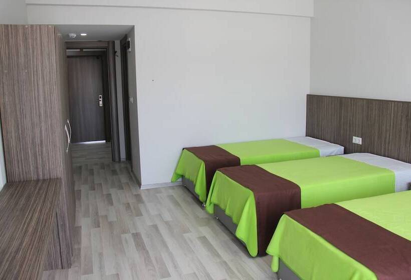 חדר סופריור לשלושה, Mori Sport