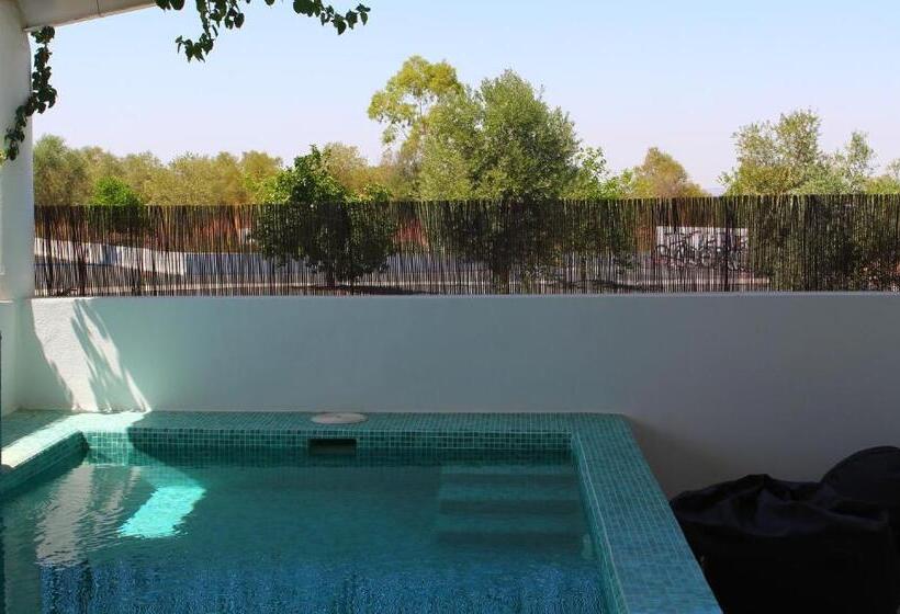 Полулюкс с Бассейном, Sesmarias Turismo Rural & Spa