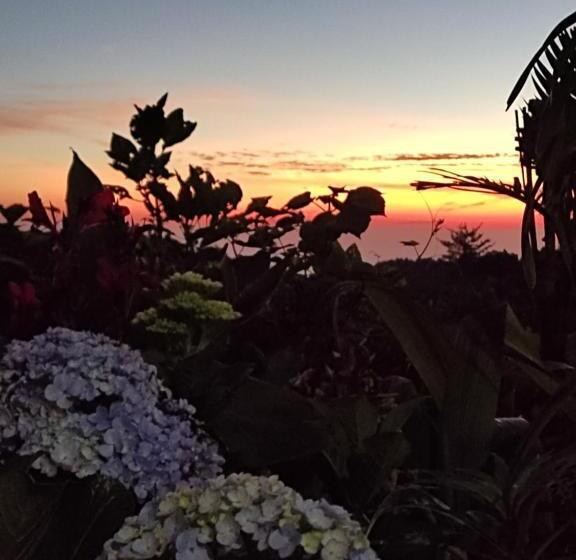 Номер Deluxe, Kopikuin Bromo Homestay