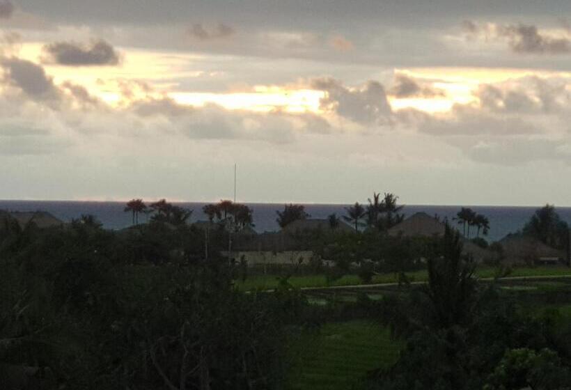 סוויטה נוף לים, Wasabi