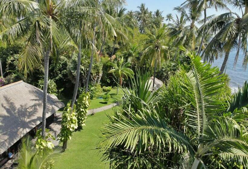 וילה בת חדר שינה 1, Ciliks Beach Garden