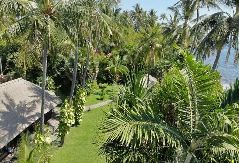 ビラホテル１ベッドルーム, Ciliks Beach Garden