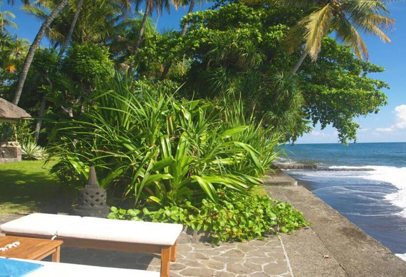 Вилла 1 Спальня Вид на Море, Ciliks Beach Garden