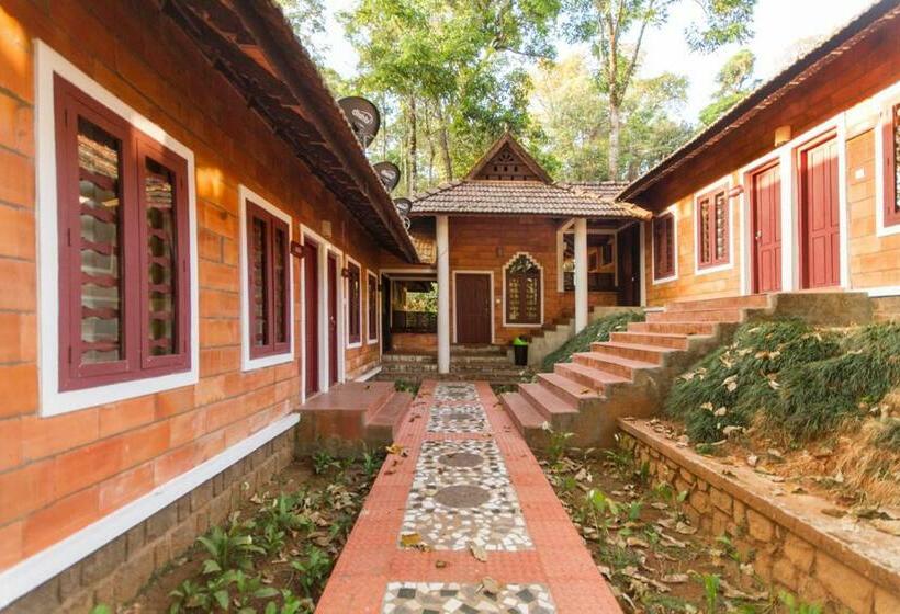 Номер Стандарт, Misty Woods Resort