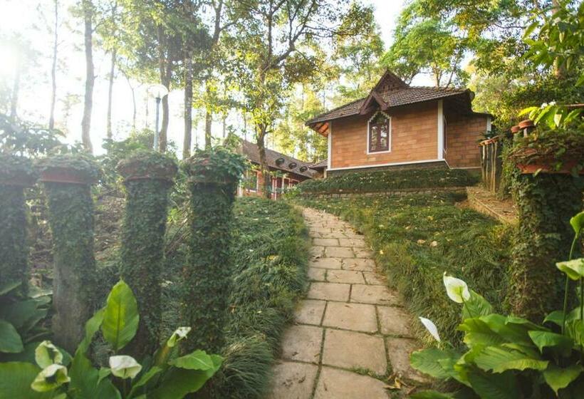 חדר סטנדרט, Misty Woods Resort