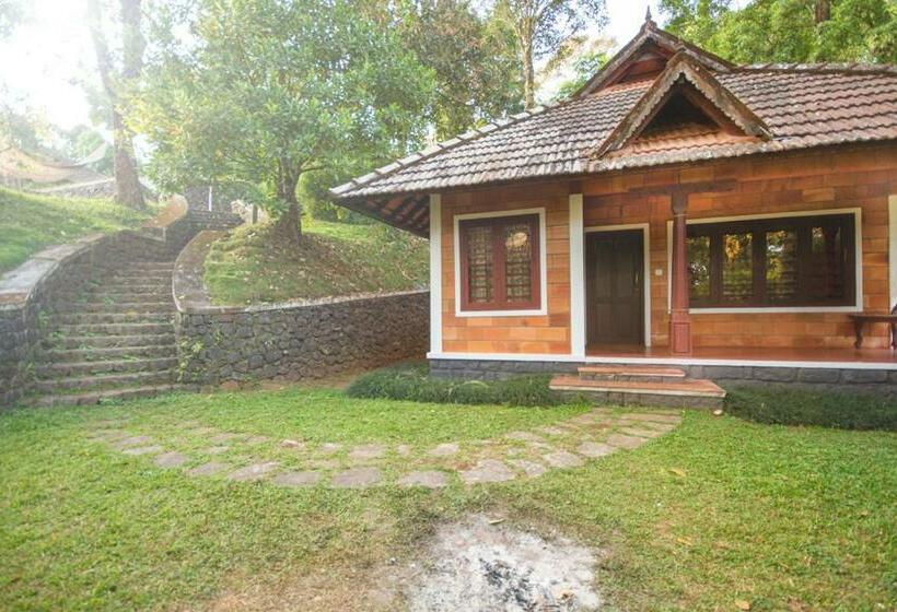 חדר דלוקס, Misty Woods Resort