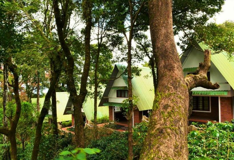 חדר דלוקס לשלושה, Misty Woods Resort