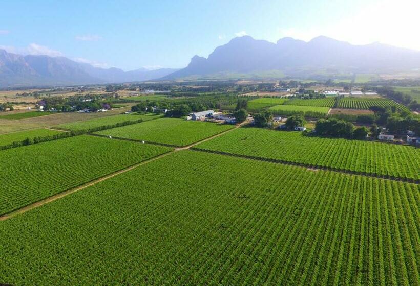 شقة غرفة واحدة, Pearl Valley Suites