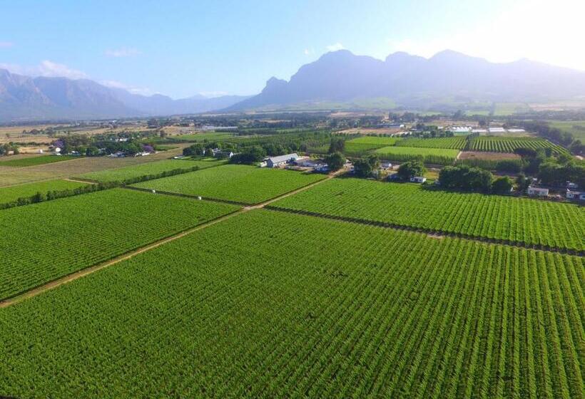 شقة غرفة واحدة ذات إطلالة, Pearl Valley Suites