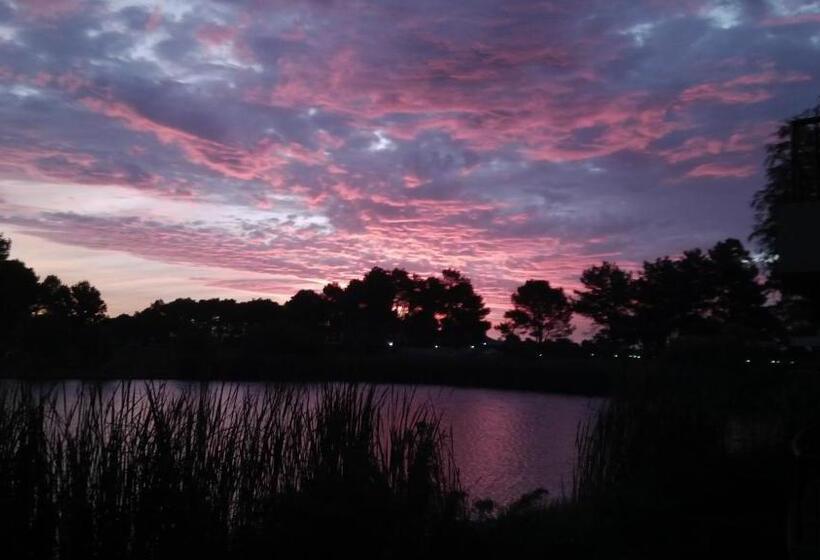 Апартаменты 1 Спальня с Видом, Pearl Valley Suites