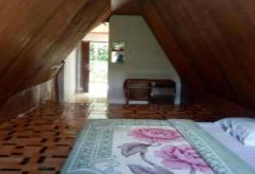 标准单人间, Laster Jony S