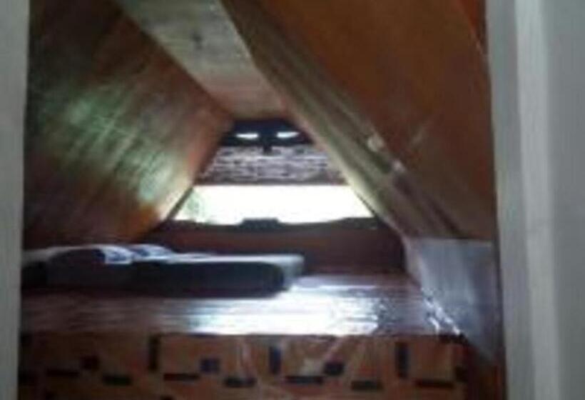 标准单人间, Laster Jony S