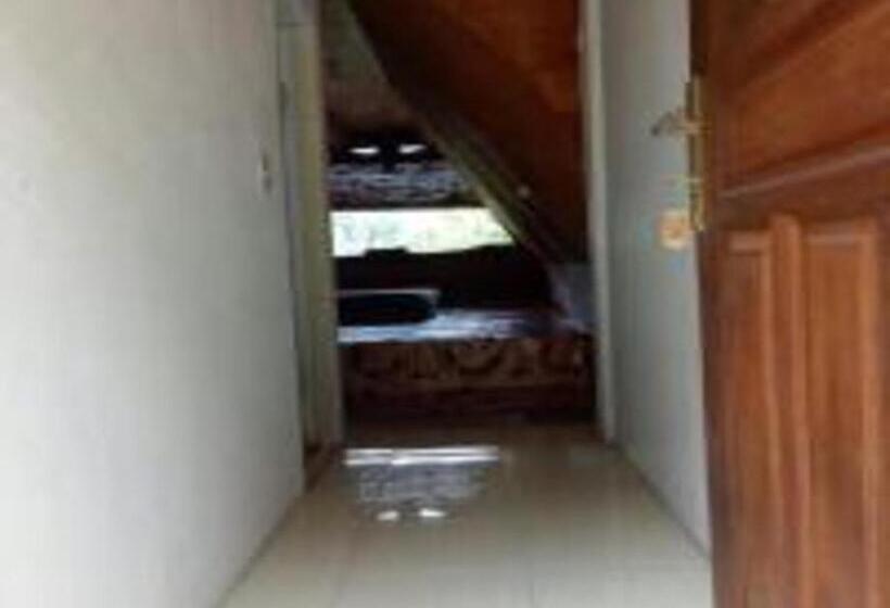 标准单人间, Laster Jony S